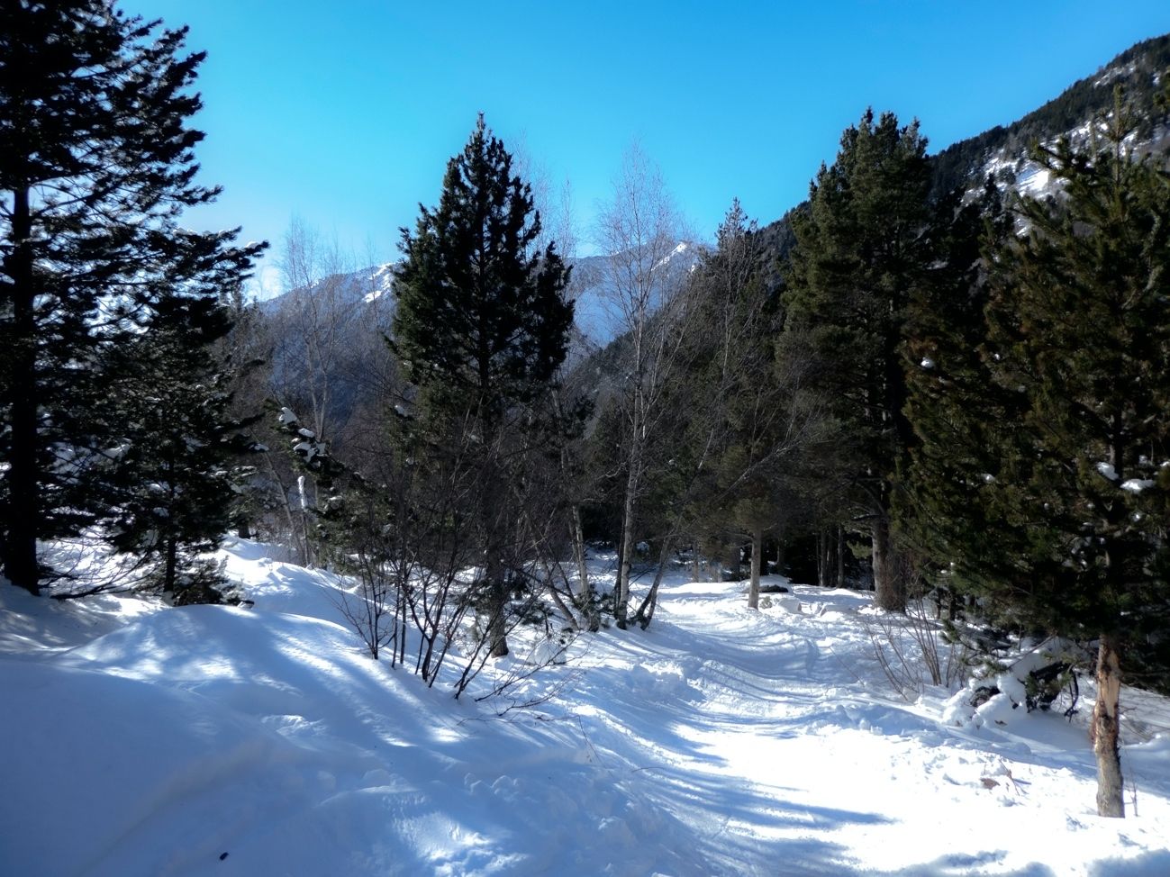 Skimo en el Vall del Rialb (Andorra)