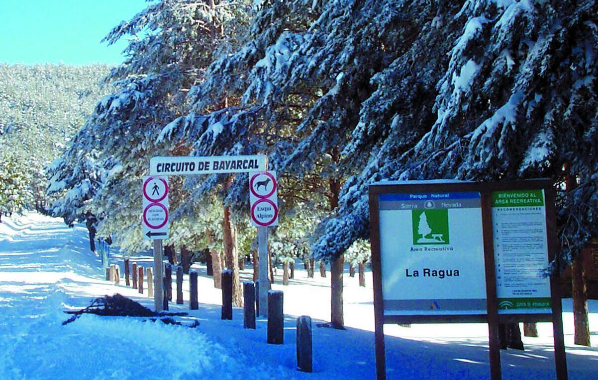 La estación de esquí de fondo de La Ragua abre su temporada . - Noticias -  Nevasport.com