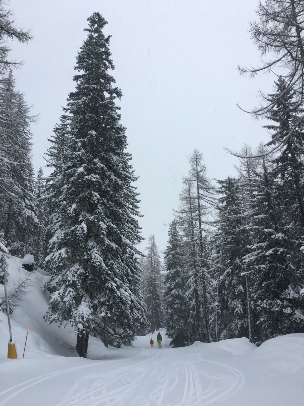 Aosta Frebrero/Marzo 2020