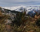 Sierra Nevada acumula ya 2 metros de nieve y prepara 100 km de pistas