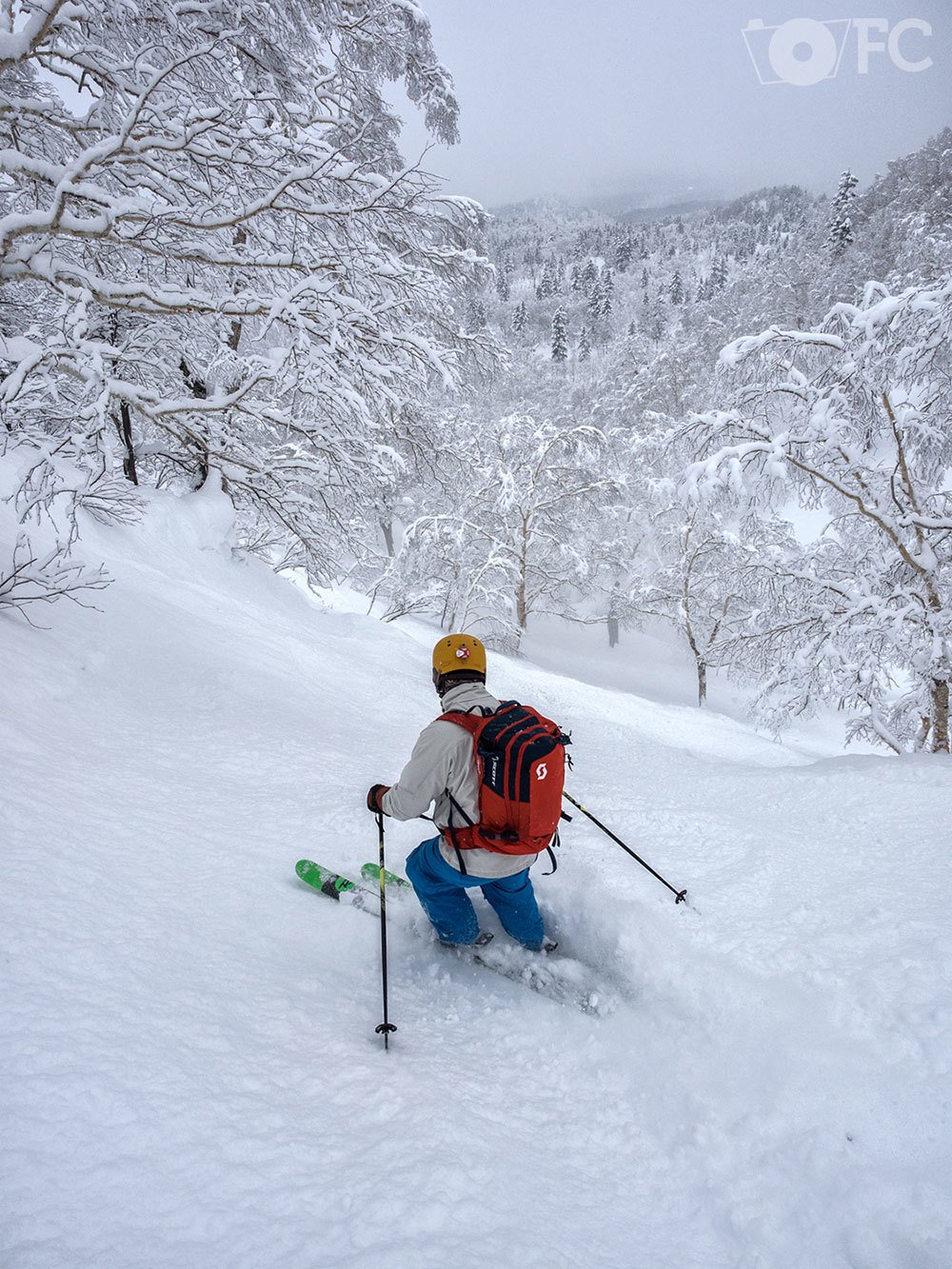 Ski Japón